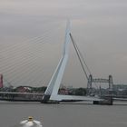 Die Schwanenbrücke in Rotterdam