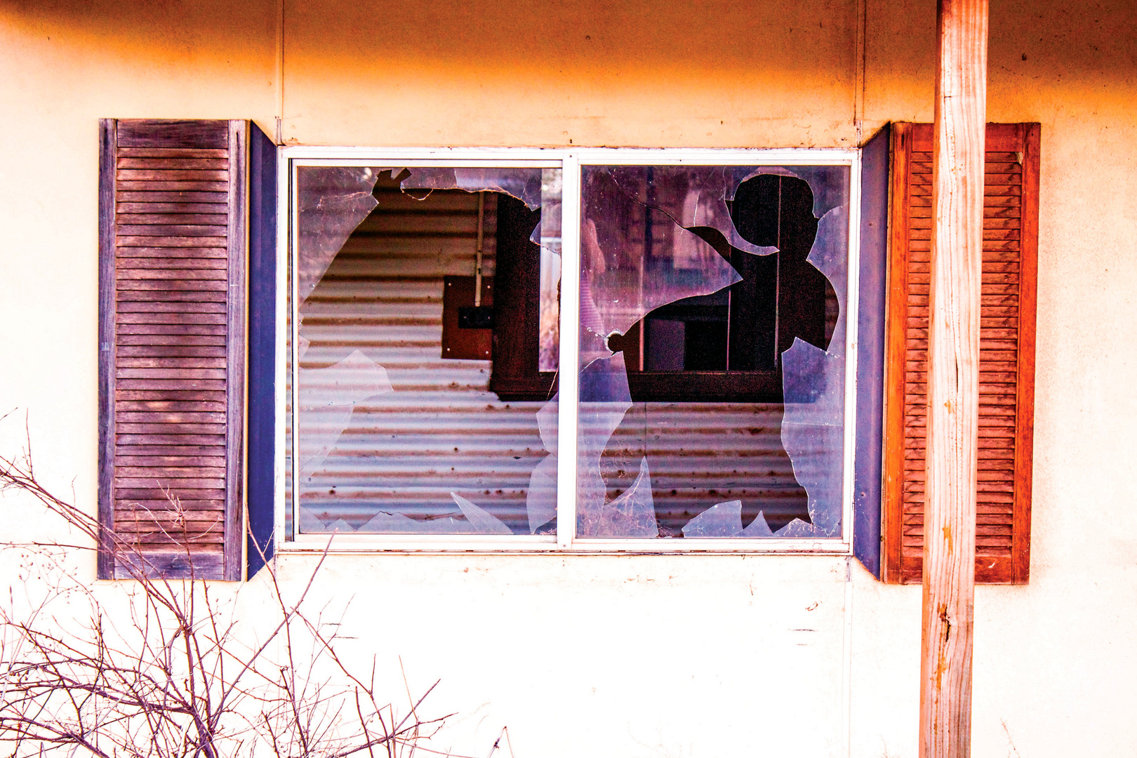 Die schwangere Frau im Fenster