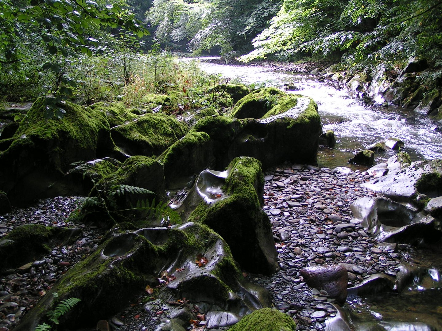 Die Schwarza im Schwarzatal