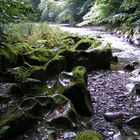 Die Schwarza im Schwarzatal