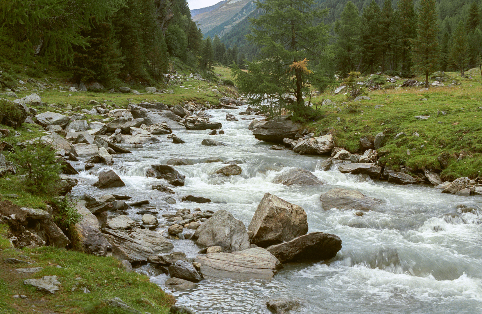 Die Schwarzach im oberen Defereggental,Osttirol,1991