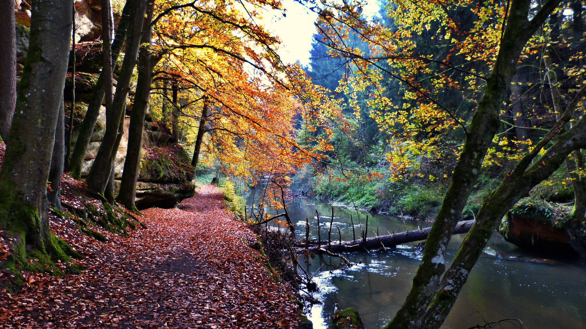 Die Schwarzachklamm 10