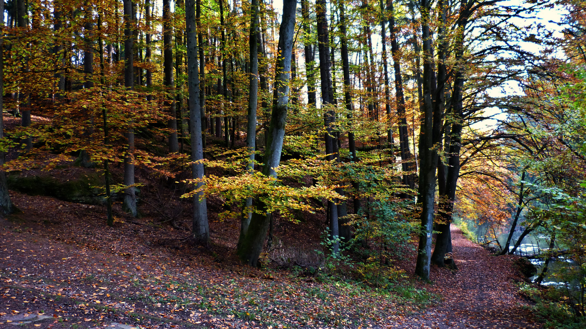 Die Schwarzachklamm 10