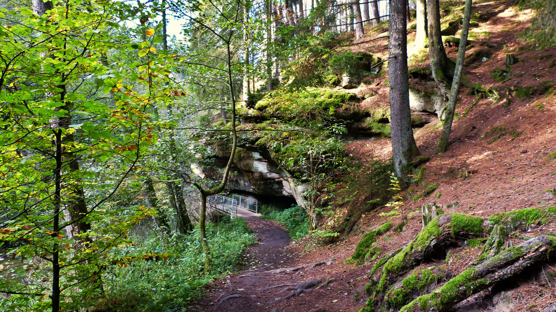 Die Schwarzachklamm 14