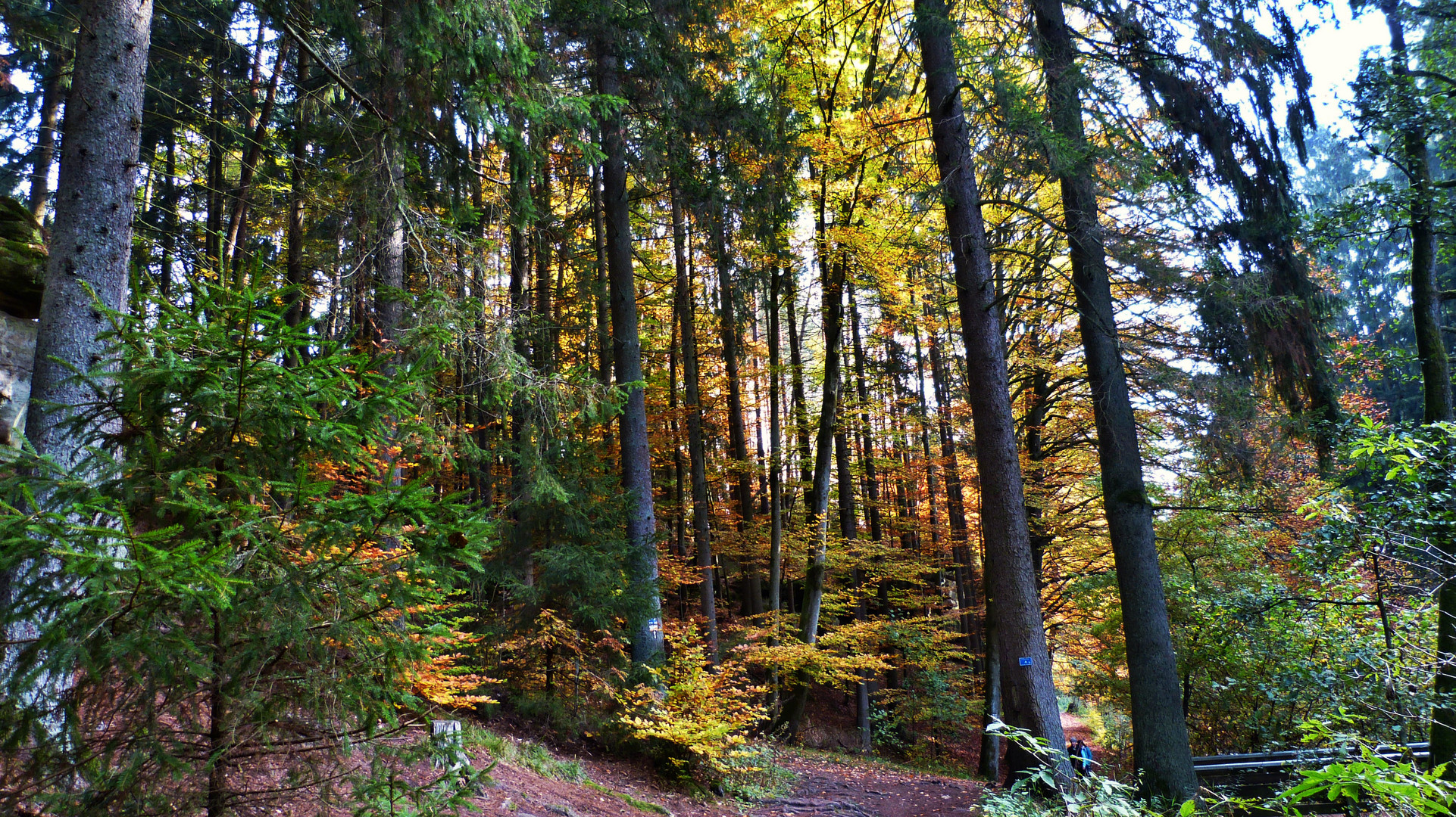 Die Schwarzachklamm 15