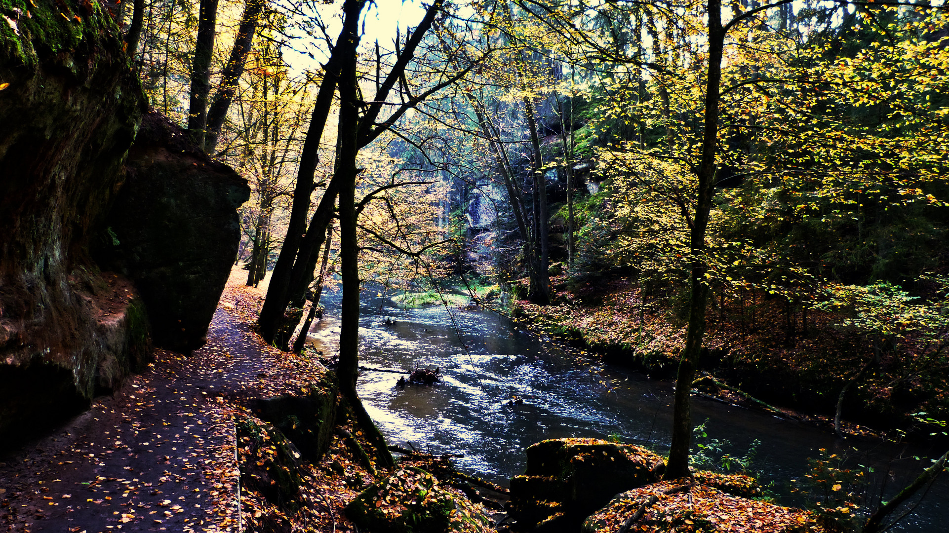 Die Schwarzachklamm 18