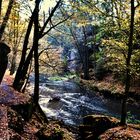 Die Schwarzachklamm 18