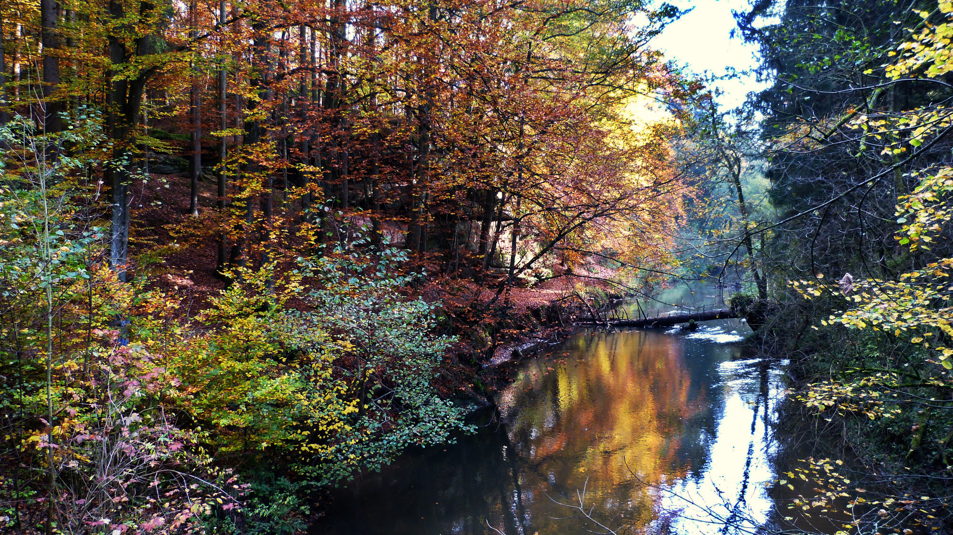 Die Schwarzachklamm 19