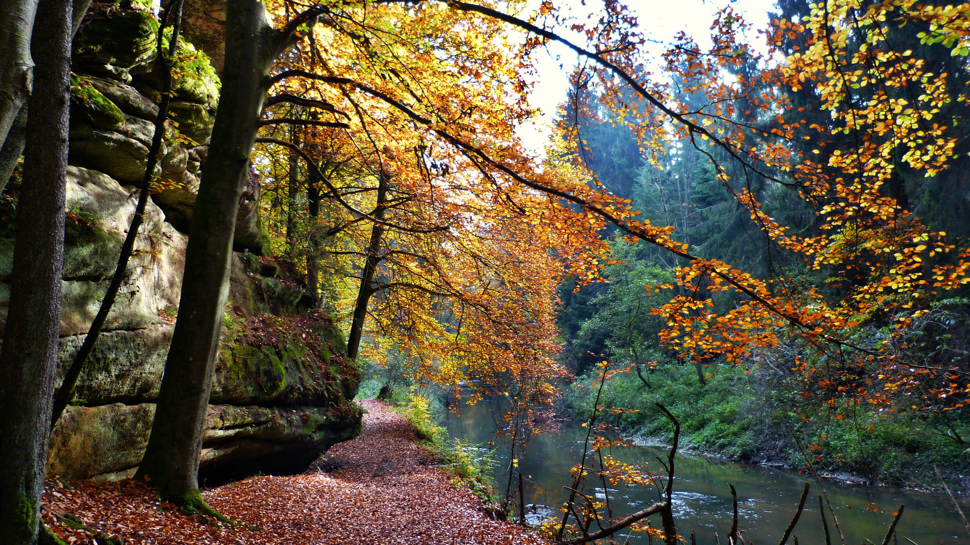 Die Schwarzachklamm 20 