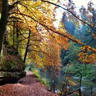 Die Schwarzachklamm 20 