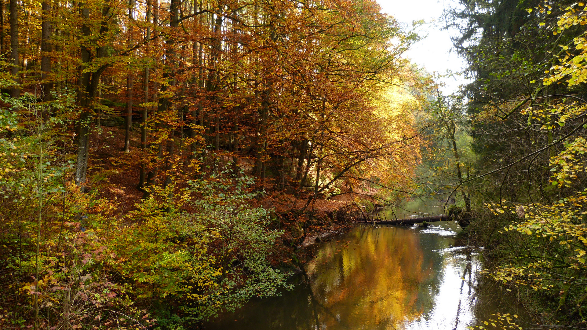 Die Schwarzachklamm 23