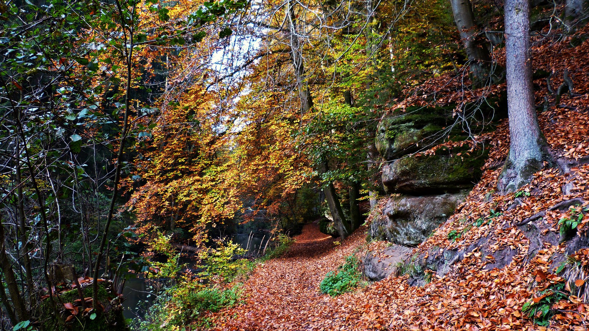 Die Schwarzachklamm 7