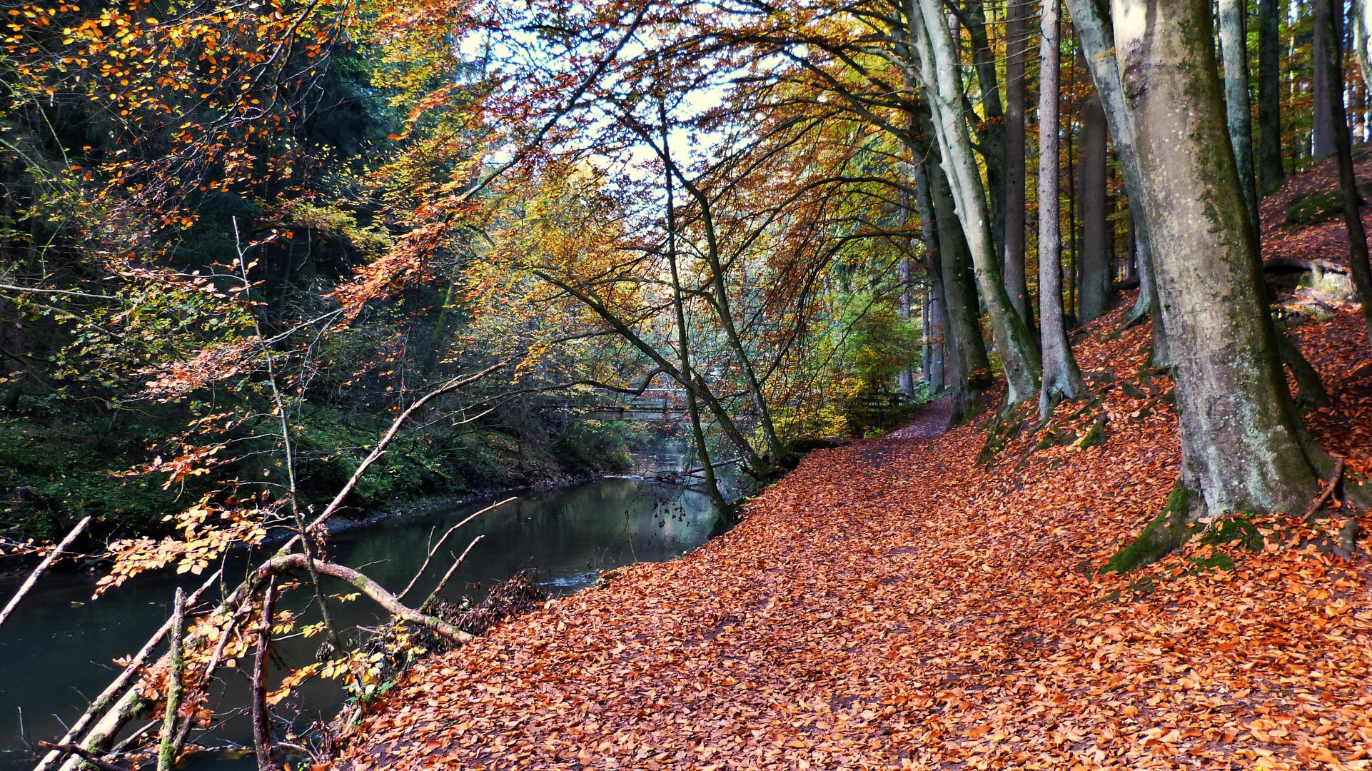 Die Schwarzachklamm 8