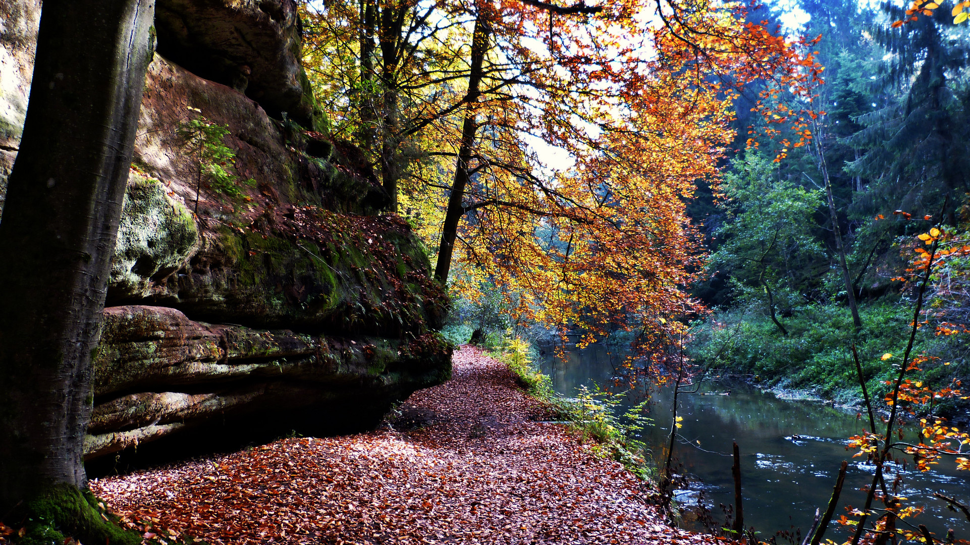 Die Schwarzachklamm 9