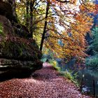 Die Schwarzachklamm 9