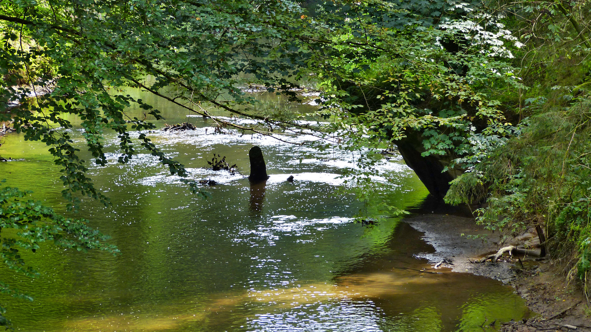 Die Schwarzachschlucht 12