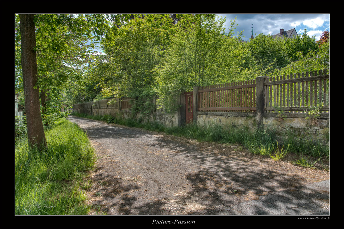 Die schwarze Allee