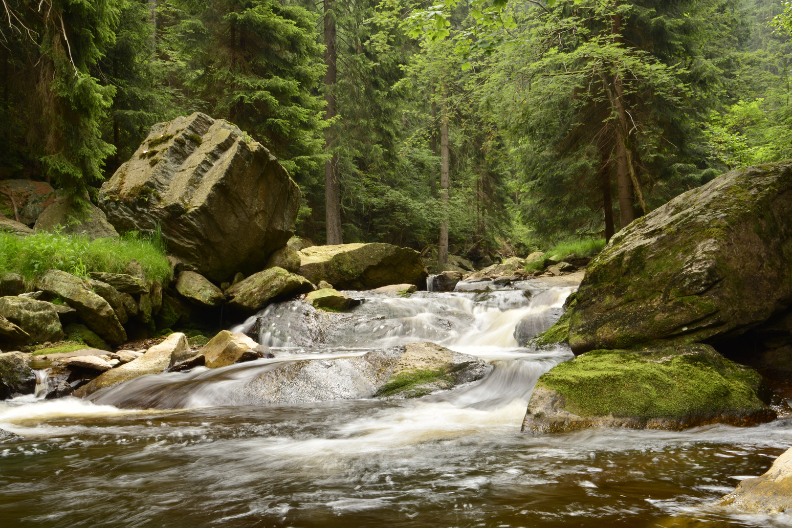 Die Schwarze Pockau (3)