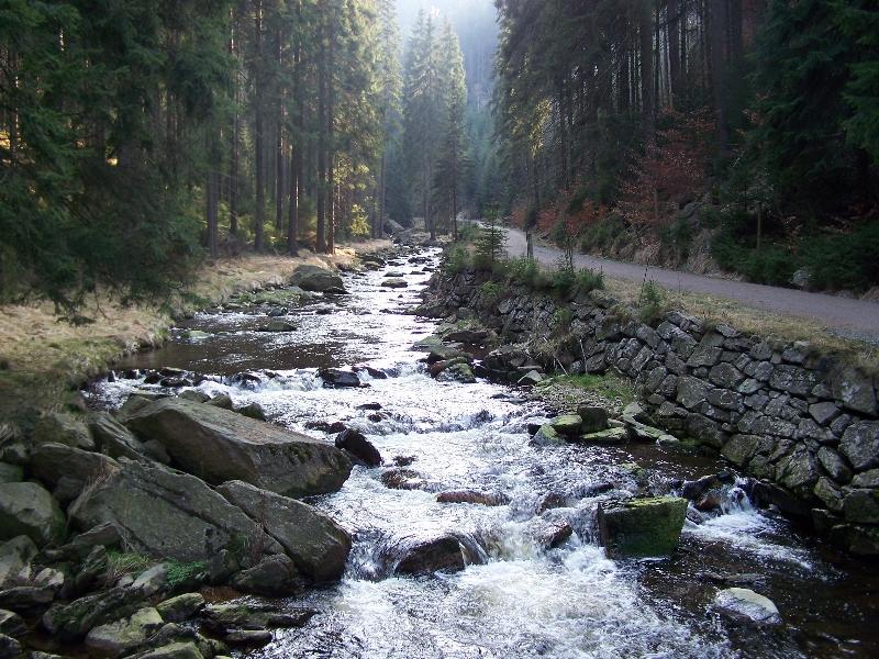 Die Schwarze Pockau