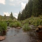 Die Schwarze Pockau im Schwarzwassertal