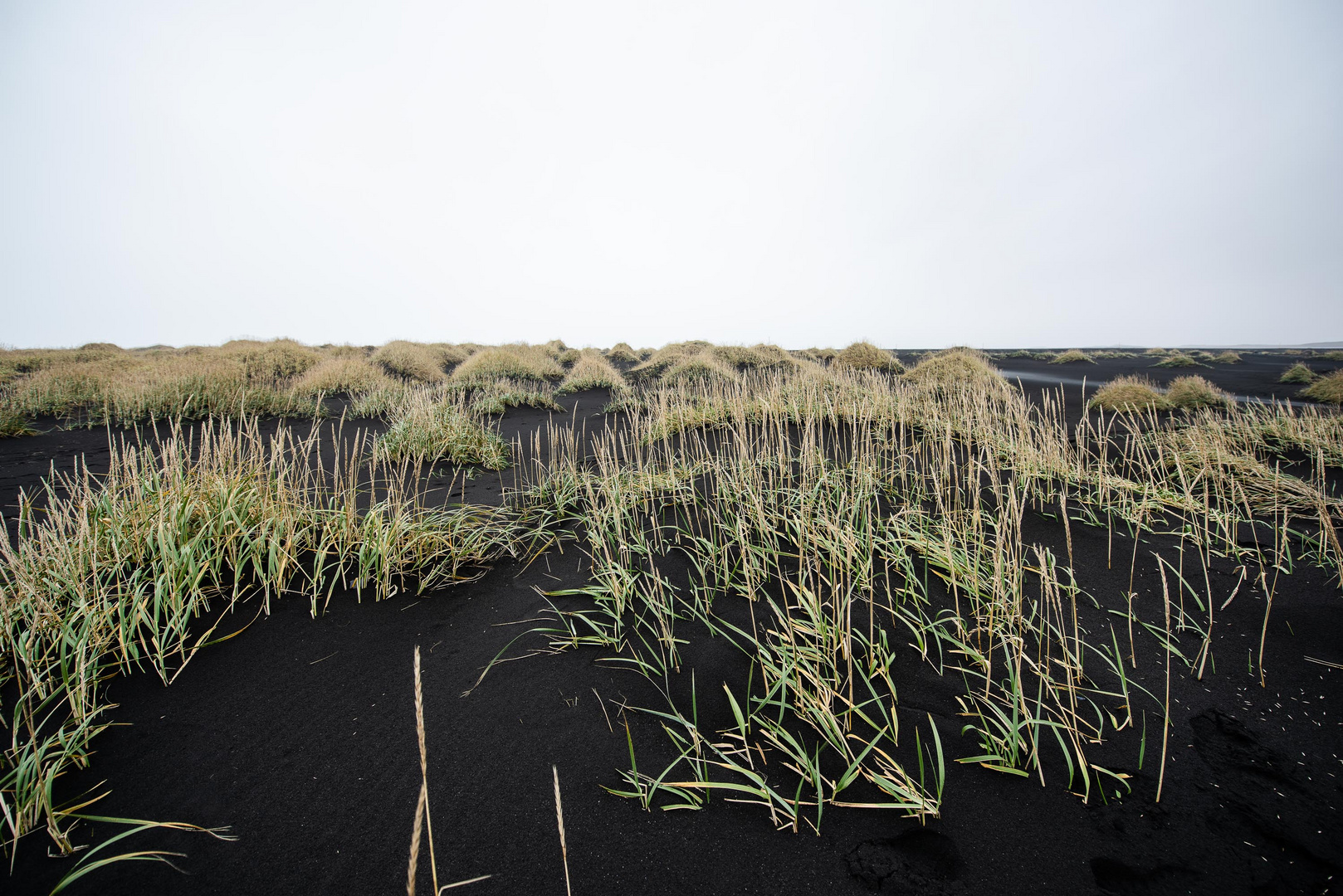 die schwarzen dünen von stokksnes