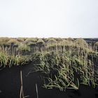 die schwarzen dünen von stokksnes