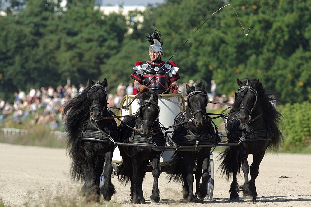 Die schwarzen teifis