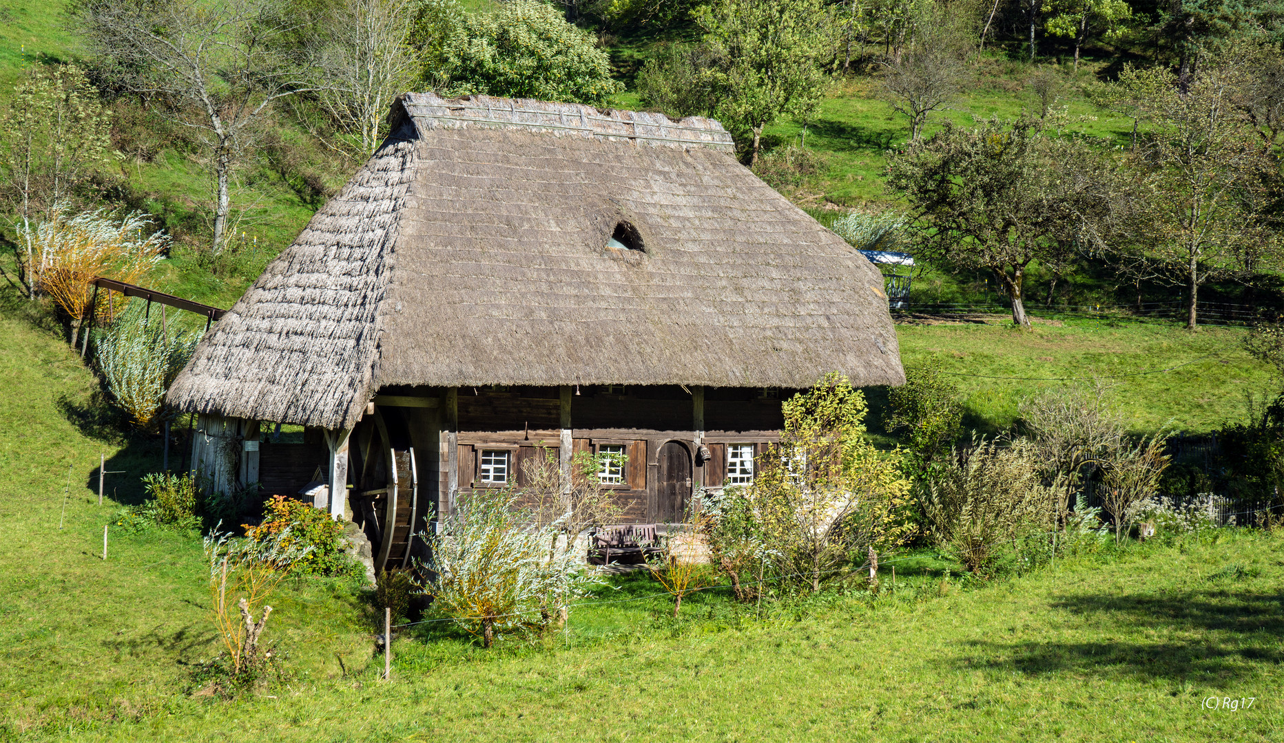 die schwarzwaldmühle