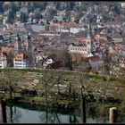 Die "schwebenden" Schrebergärten über der Stadt St. Gallen