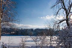 Die Schweiz im Schnee