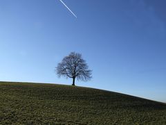 die Schweiz ist schön