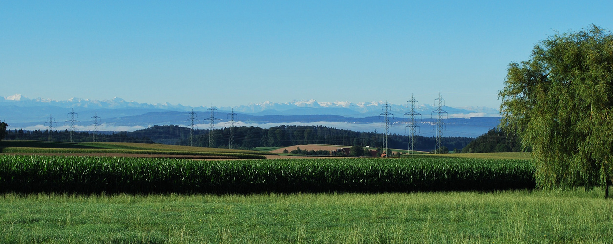 die Schweiz putzt sich zum Geburtstag heraus....