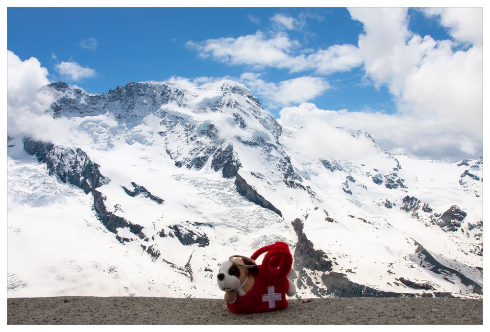 Die Schweiz und ihre Berge