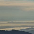 Die Schweizer Alpen aus der Sicht des Hochblauen