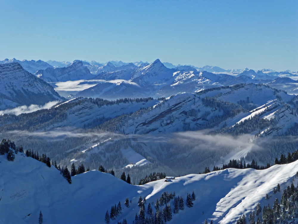 die Schweizer Alpen