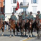 Die Schweizer Kavallerie