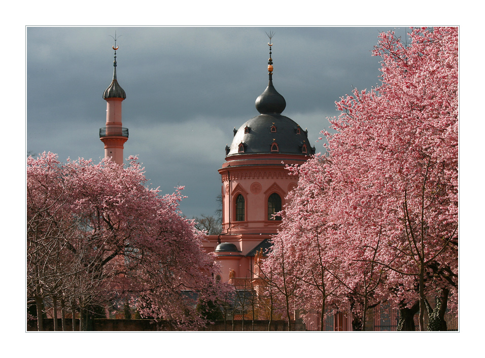 Die Schwetzinger Moschee