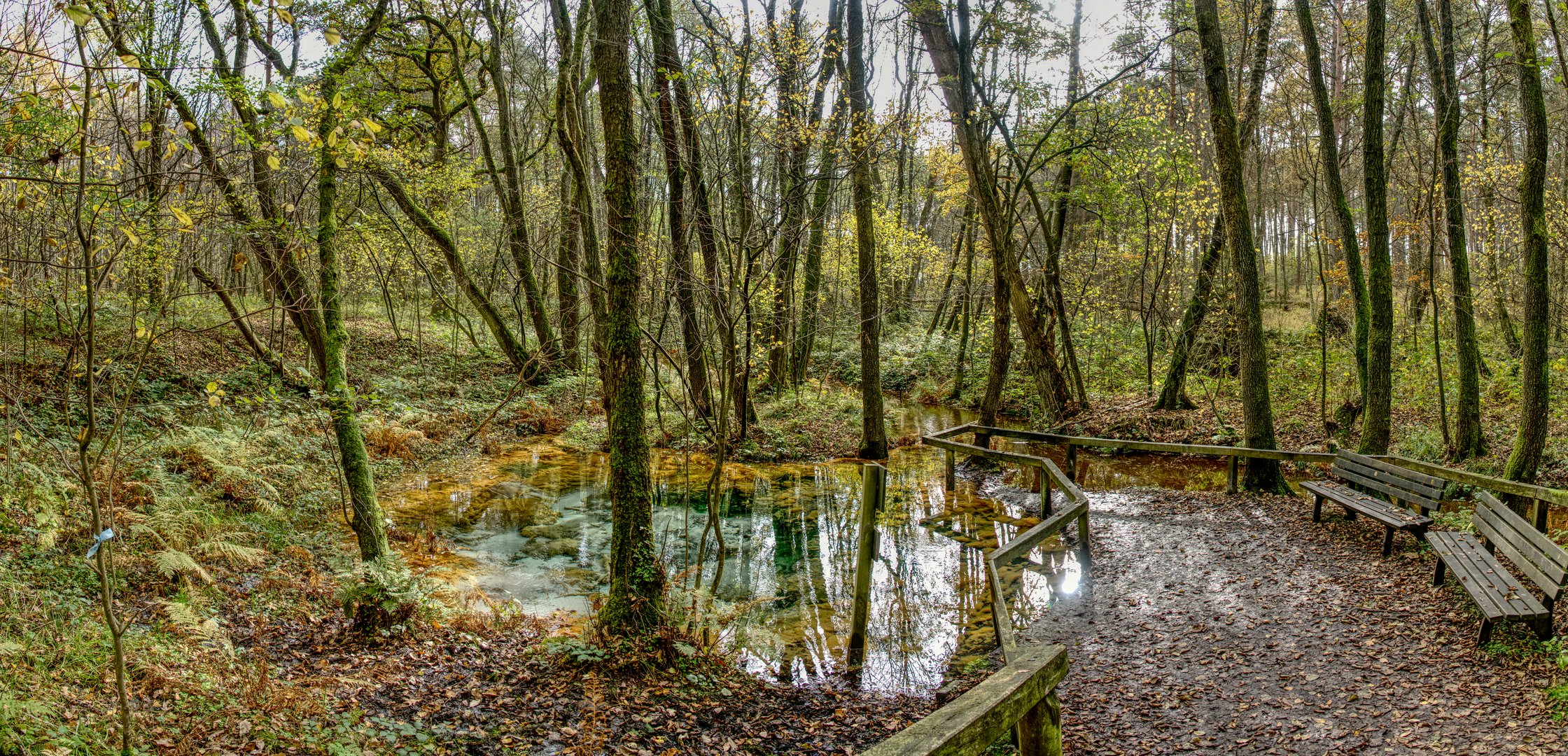 Die Schwindebachquelle im Herbst