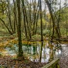 Die Schwindebachquelle im Herbst