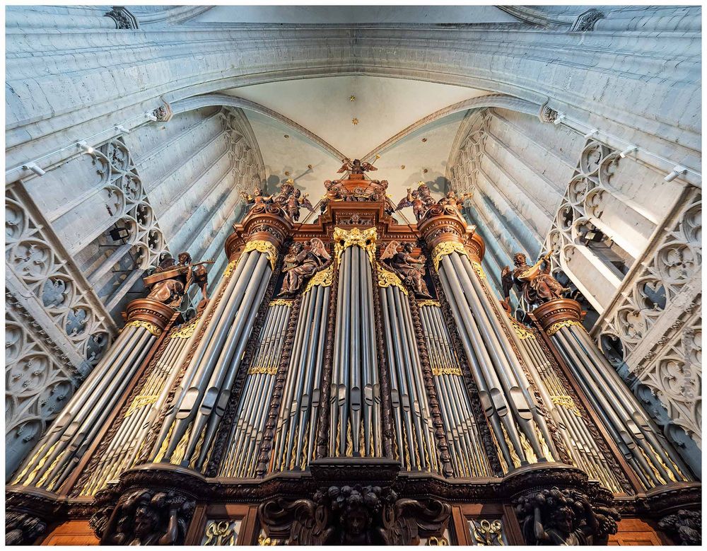 die Schyven-Orgel in ....