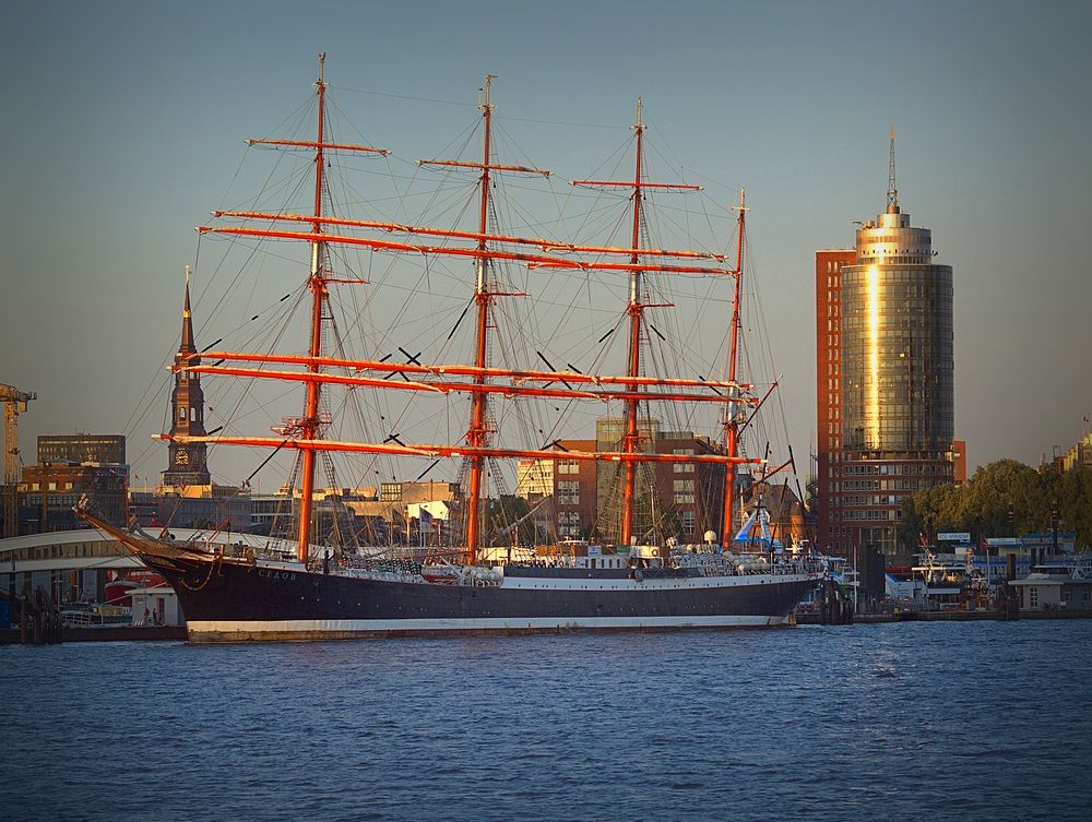 Die SEDOV