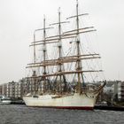 Die SEDOV