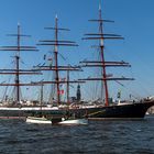 Die "Sedov" 