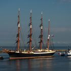 Die "Sedov" in der Morgensonne