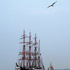 Die SEDOV läuft in Bremerhaven ein