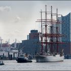 Die SEDOV zu Besuch im Hamburger Hafen