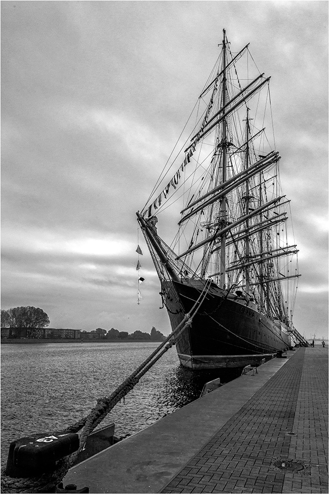 Die Sedow im Rostocker  Hafen