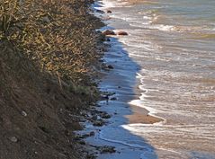 Die See nagt an der Küste