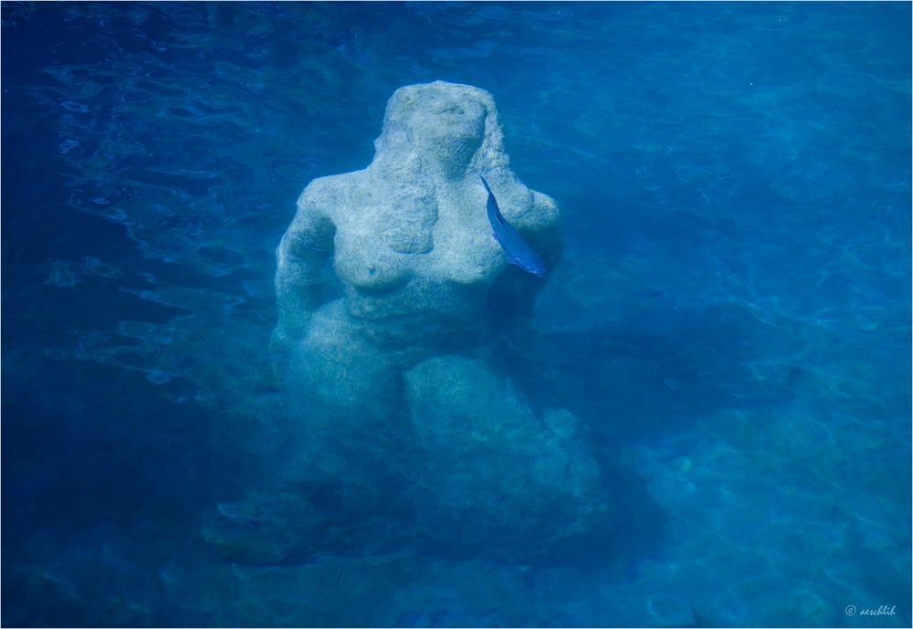 Die Seejungfrau...