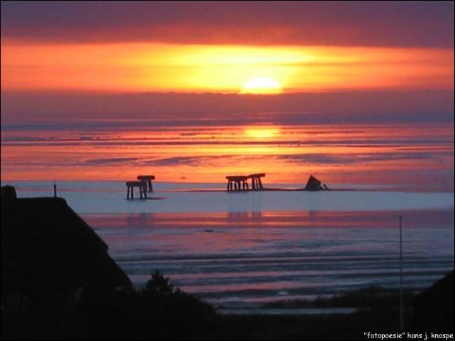 die "Seekühe" von List auf Sylt bei Sonnenaufgang